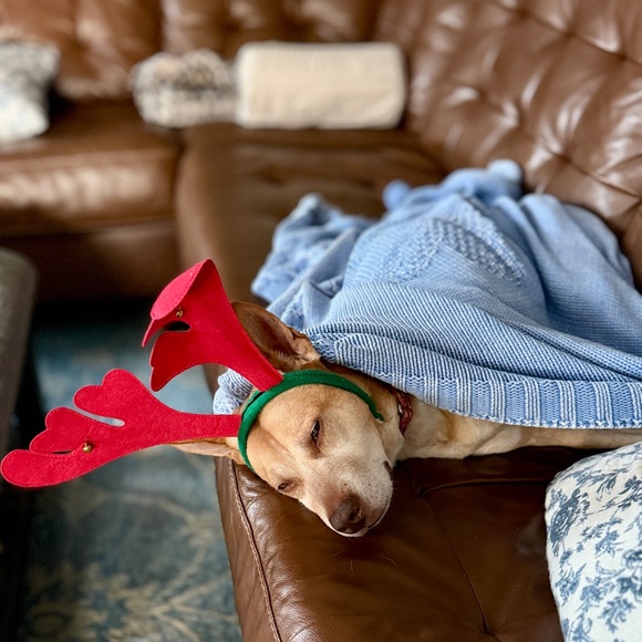 Meet your Posher, Jessica - Picture 3 of 6